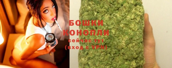 прущие грибы Абдулино