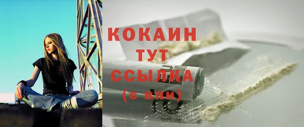 прущие грибы Абдулино