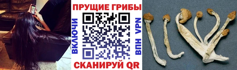 кракен вход  Никольск  мориарти клад  Галлюциногенные грибы мухоморы 